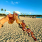 Grateful Dead Mega Bubbler