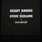 Steve Sizelove “Trapped in Hawaii” Moodmat