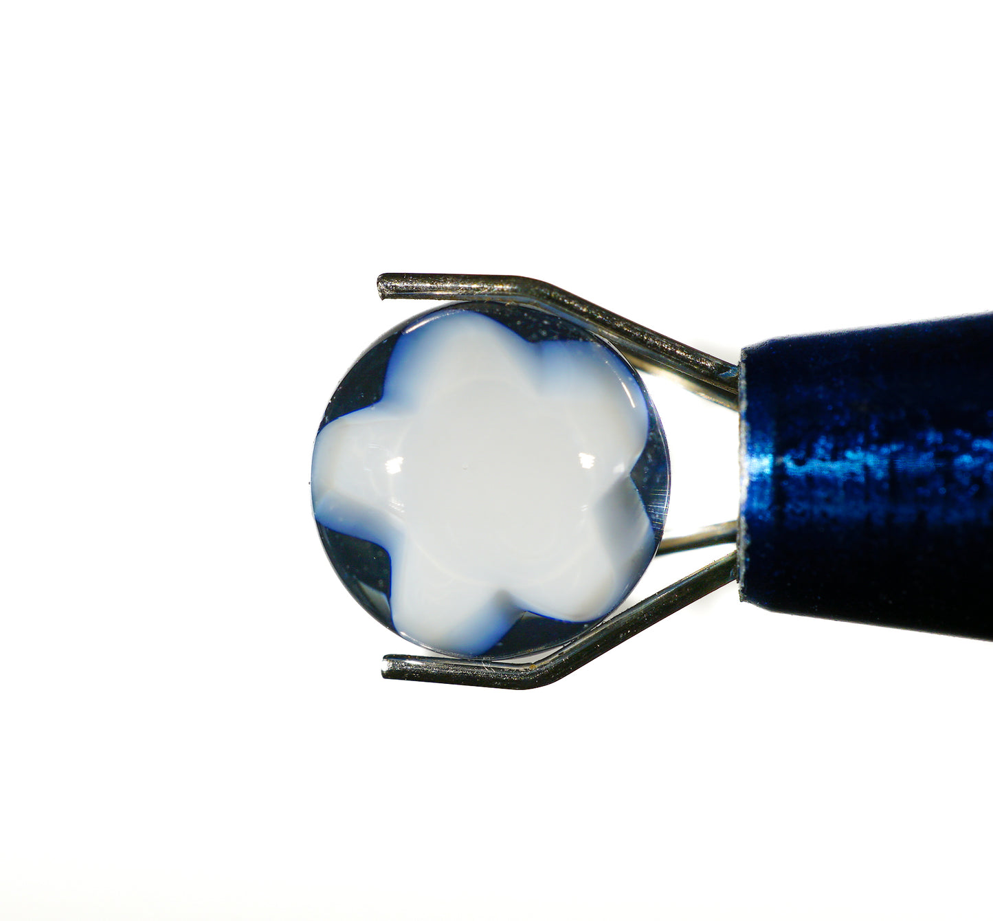Star Terp Pearl (7mm)