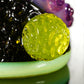 Jet Black / Slime / Lucy / Citrine / Nova / Glowstick Saltacc WhipCurl